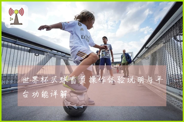 世界杯买球首页操作体验说明与平台功能详解