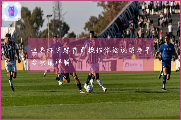 世界杯买球首页操作体验说明与平台功能详解