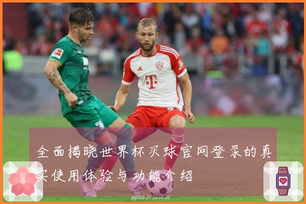 全面揭晓世界杯买球官网登录的真实使用体验与功能介绍